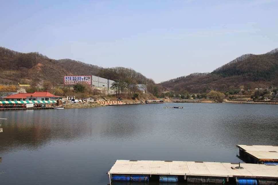 벚꽃길 진우지 (유료터정보 - 유료터조행기)