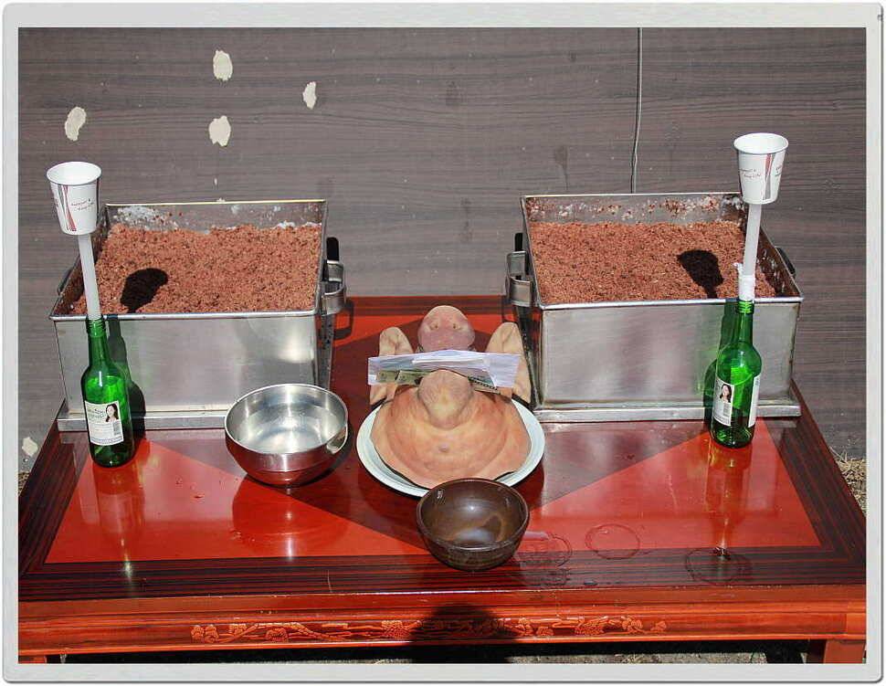 칠리 저수지 개장 소식 (유료터정보 - 유료터조행기)