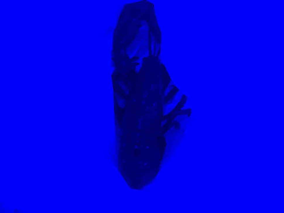 마누라가 미첬다고 하네요 (유료터정보 - 유료터조행기)