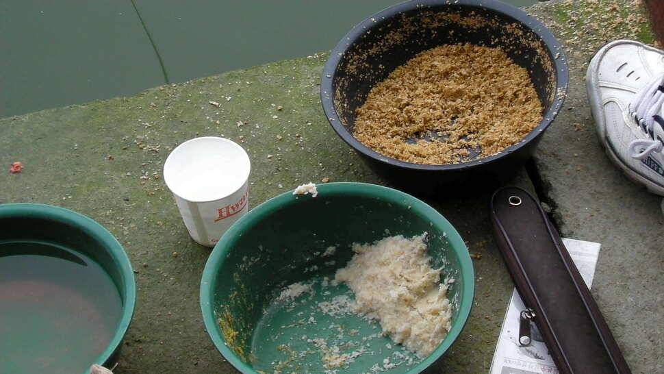이만한 손맛터도 드물다 웃골낚시터 (유료터정보 - 유료터조행기)