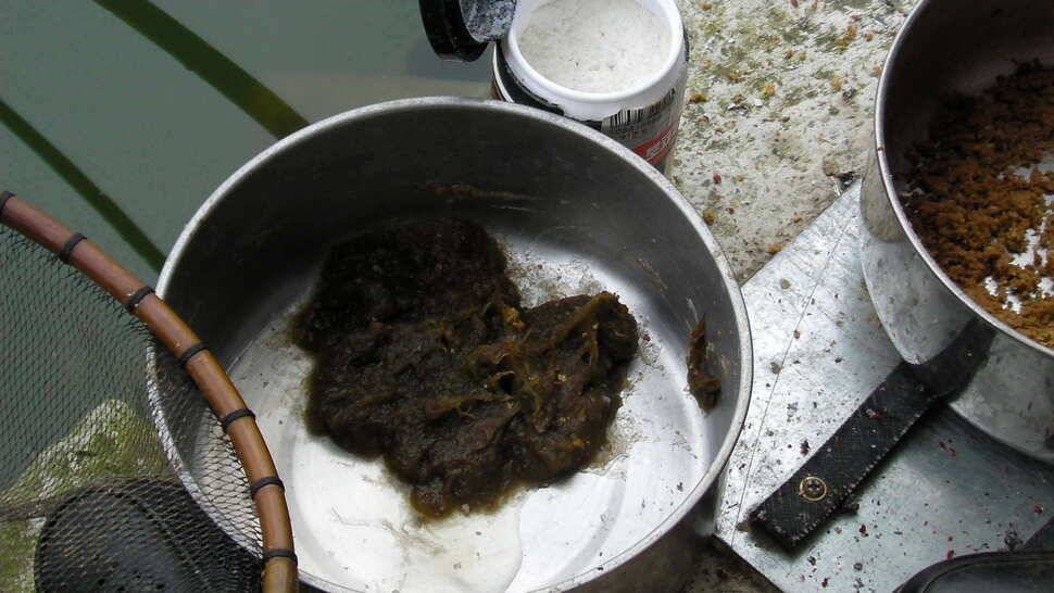 이만한 손맛터도 드물다 웃골낚시터 (유료터정보 - 유료터조행기)