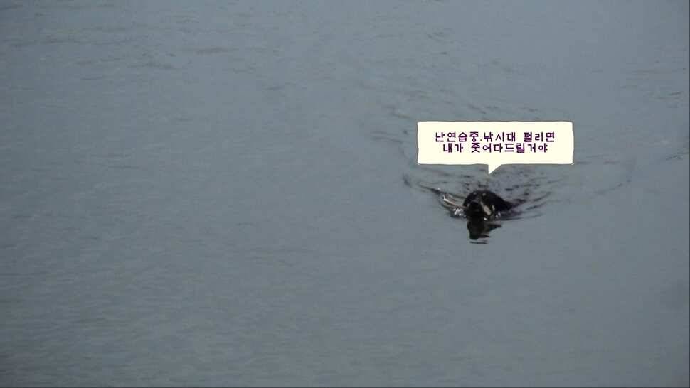 형제꽝조사 충북음성 봉낚시터가다 (유료터정보 - 유료터조행기)