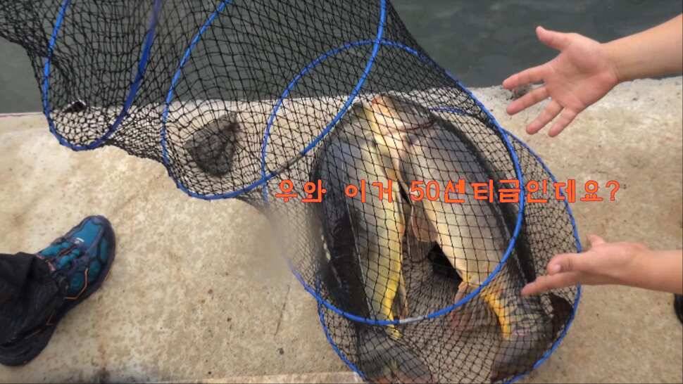 형제꽝조사 충북음성 봉낚시터가다 (유료터정보 - 유료터조행기)
