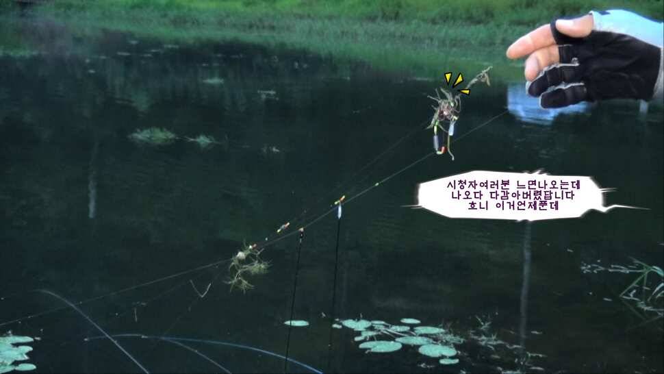 형제꽝조사 충북음성 봉낚시터가다 (유료터정보 - 유료터조행기)