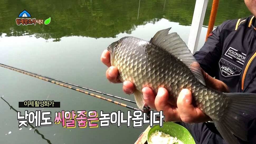 리빙tv형제꽝조사 안성두메지에서의멋진하루 (유료터정보 - 유료터조행기)