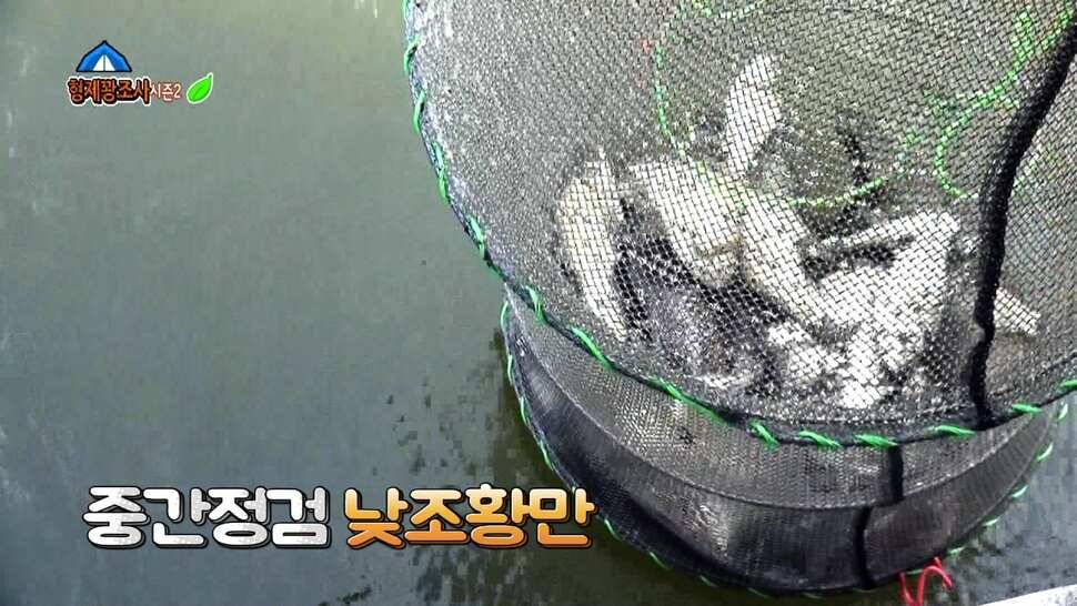 리빙tv형제꽝조사 안성두메지에서의멋진하루 (유료터정보 - 유료터조행기)