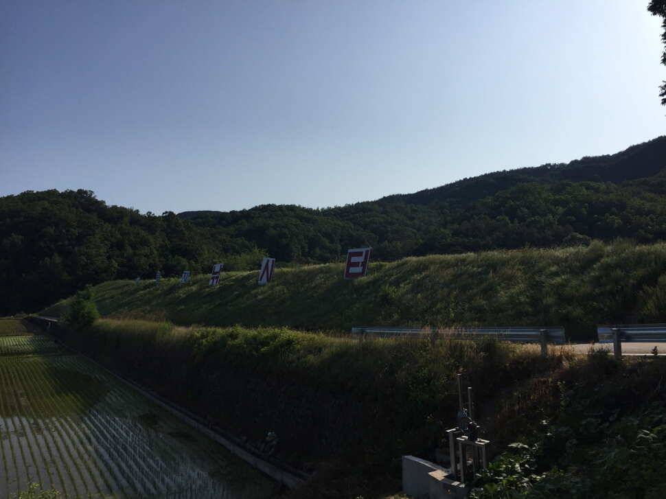 오산나그네의 군위비들지 낚시터 조행기 (유료터정보 - 유료터조행기)