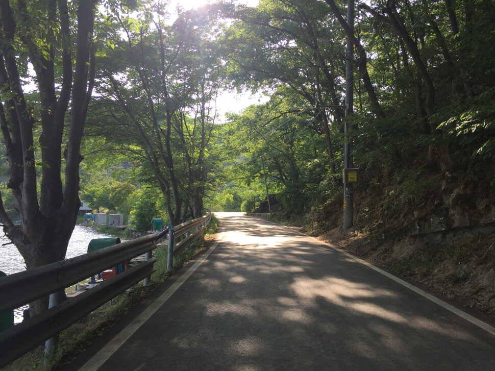 오산나그네의 군위비들지 낚시터 조행기 (유료터정보 - 유료터조행기)
