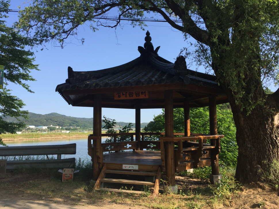 오산나그네의 군위비들지 낚시터 조행기 (유료터정보 - 유료터조행기)