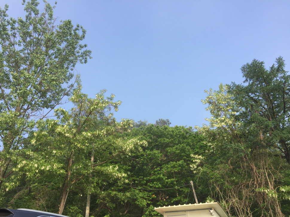 오산나그네의 봉낚시터 조행기 (유료터정보 - 유료터조행기)