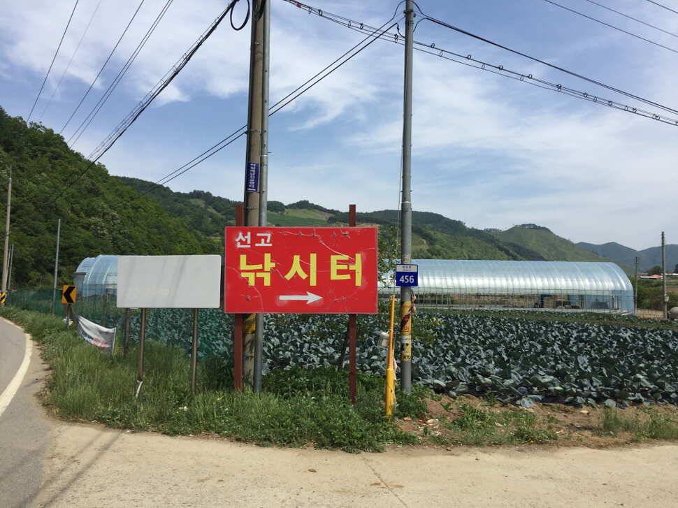 오산나그네의 선고지낚시터조행기2 (유료터정보 - 유료터조행기)