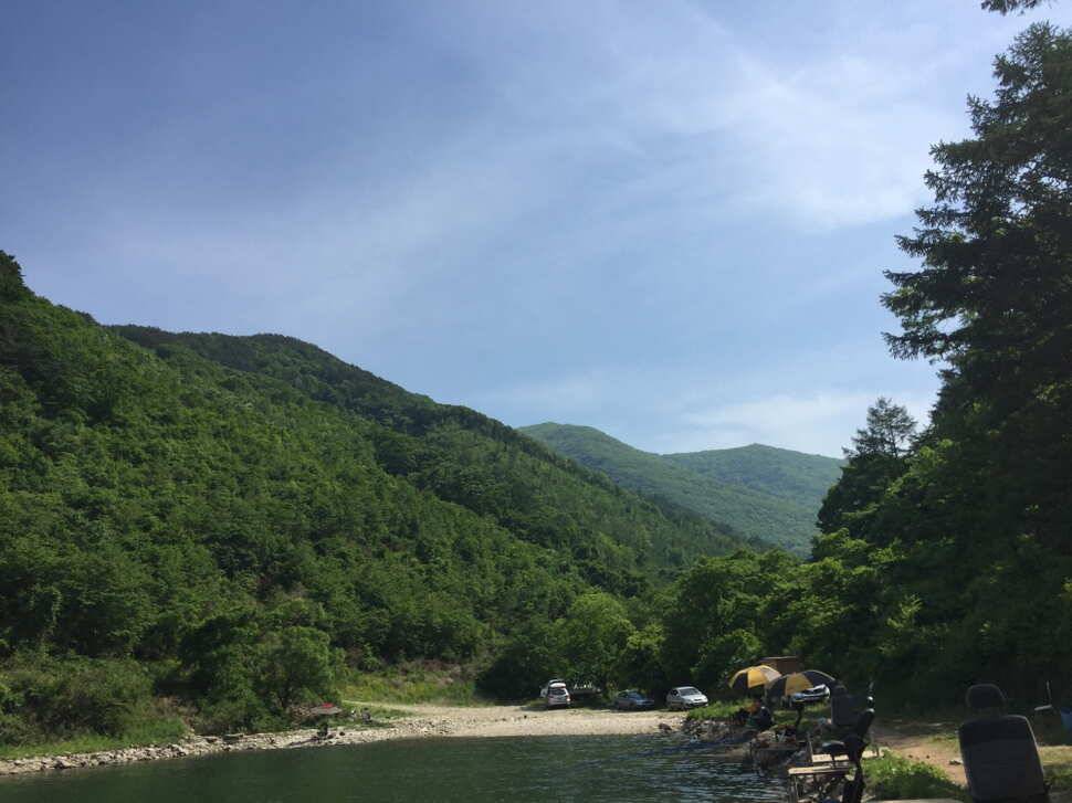 오산나그네의 선고지낚시터조행기2 (유료터정보 - 유료터조행기)