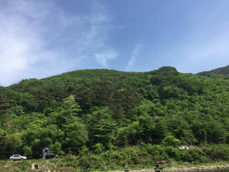 오산나그네의 선고지낚시터조행기2 (유료터정보 - 유료터조행기)