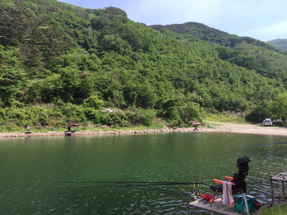 오산나그네의 선고지낚시터조행기2 (유료터정보 - 유료터조행기)