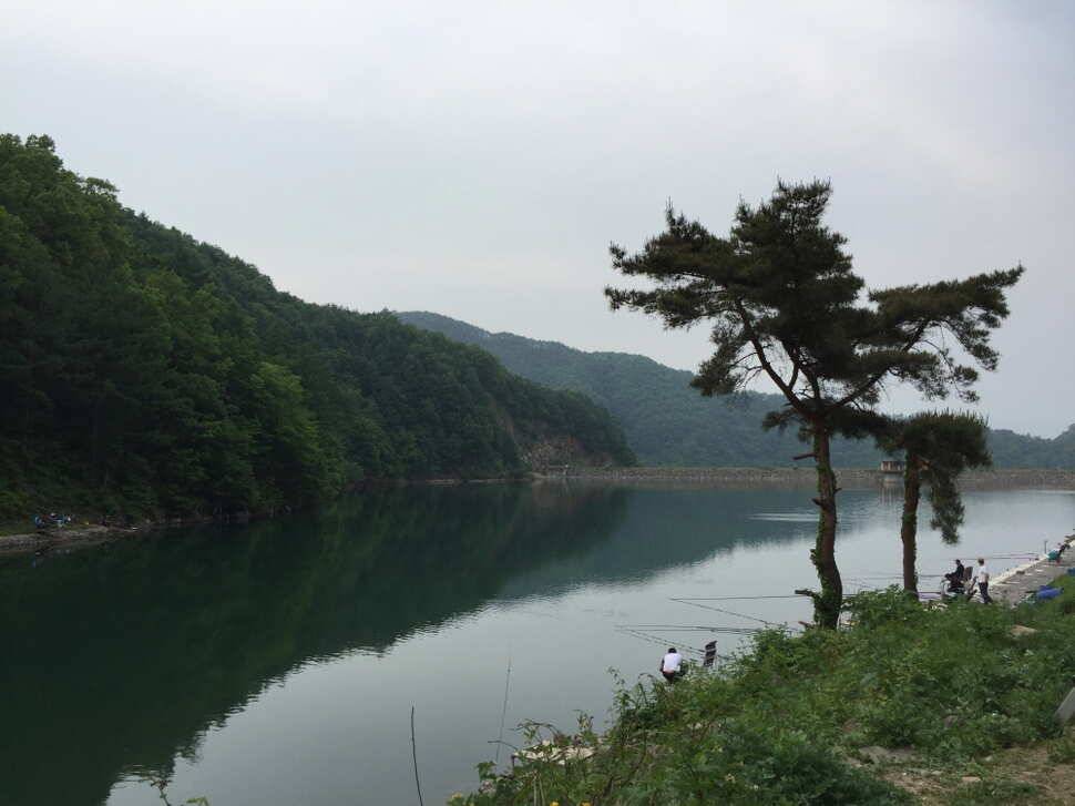 오산나그네의 선고지낚시터조행기2 (유료터정보 - 유료터조행기)