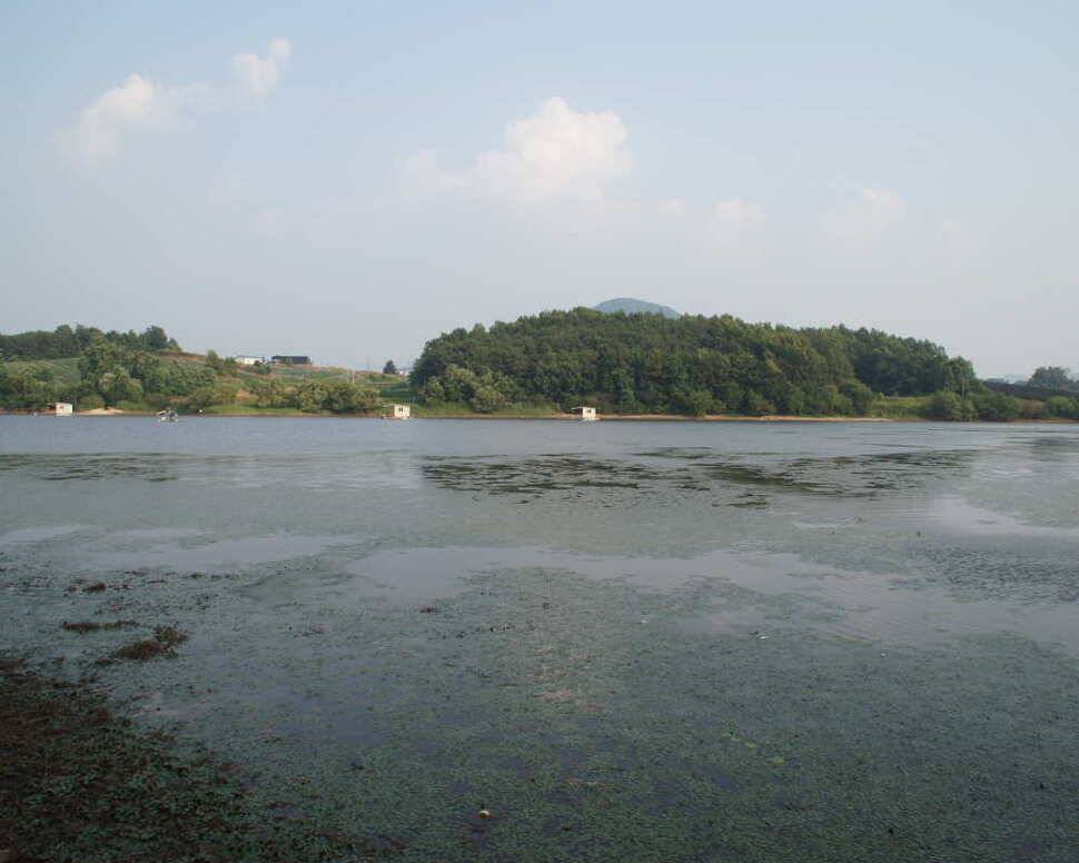 경기도 이천 용풍저수지에서 (유료터정보 - 유료터조행기)