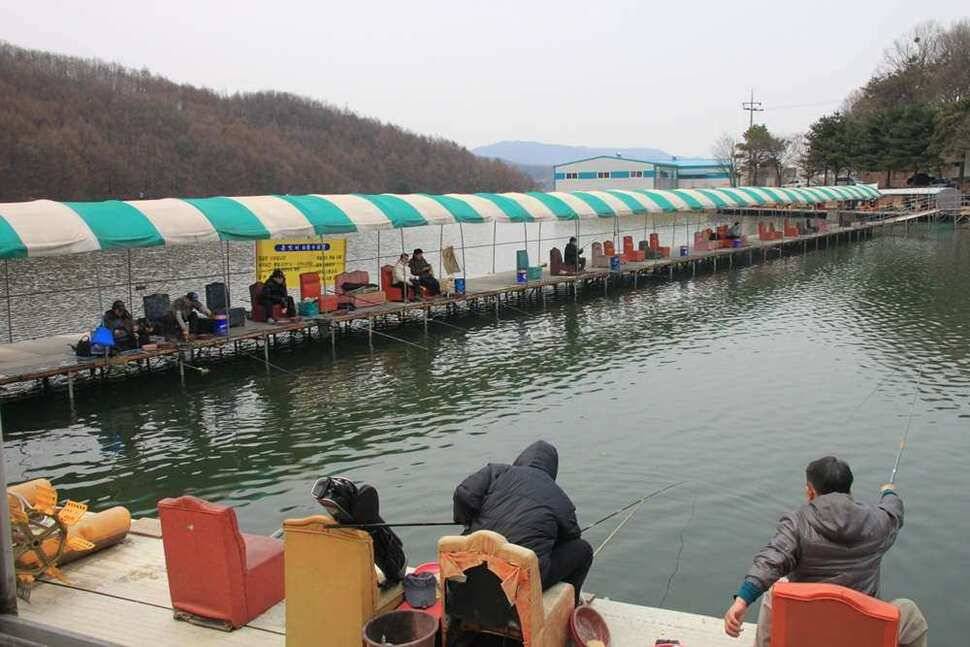 늘 편안한 진우낚시터 (유료터정보 - 유료터조행기)