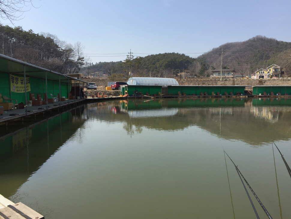 오산나그네의 월향낚시터 조행기 (유료터정보 - 유료터조행기)