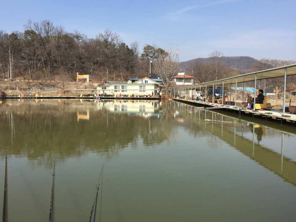 오산나그네의 월향낚시터 조행기 (유료터정보 - 유료터조행기)
