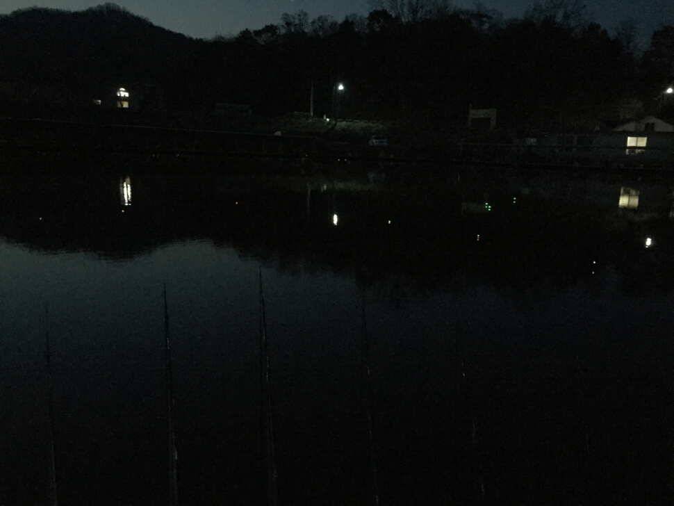 오산나그네의 월향낚시터 조행기 (유료터정보 - 유료터조행기)