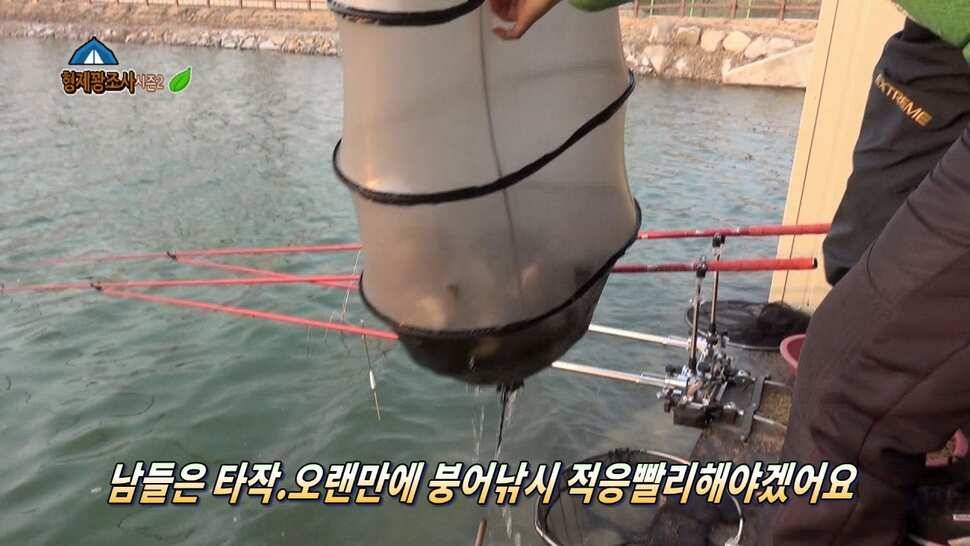 안성거청낚시터 재개장방문기 (유료터정보 - 유료터조행기)