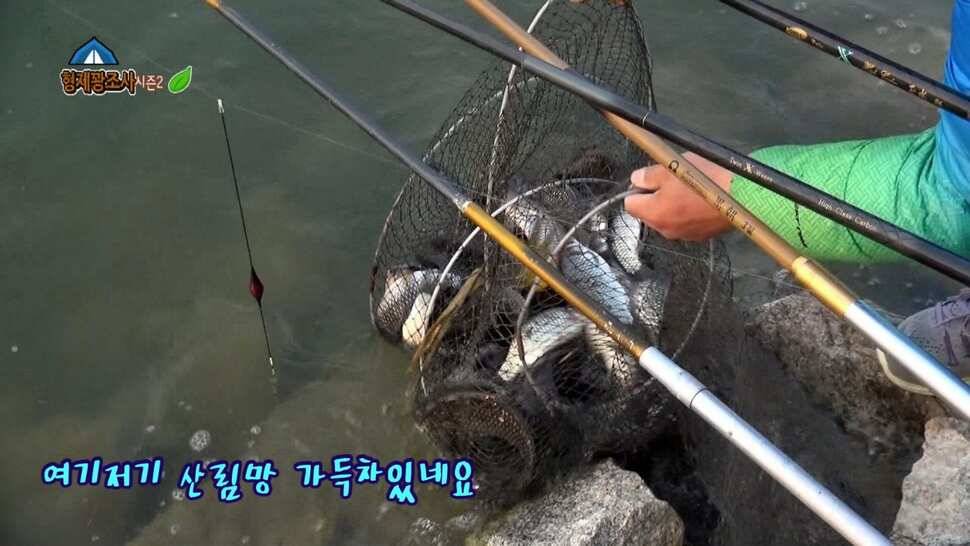 안성거청낚시터 재개장방문기 (유료터정보 - 유료터조행기)
