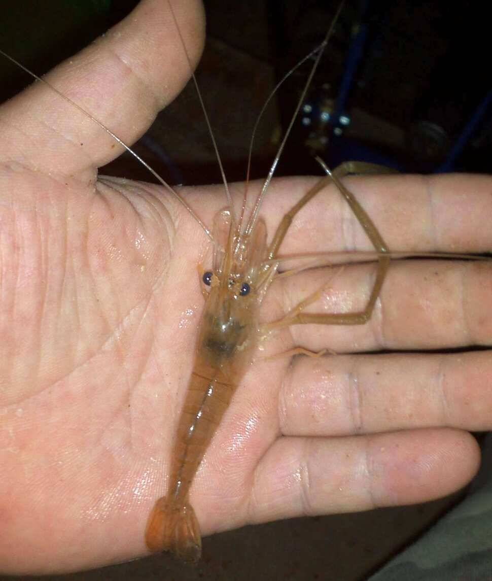 대부도 북동낚시터 갔다왔습니다사진은 폰가 자리는 지도로 표시했습니다 (유료터정보 - 유료터조행기)