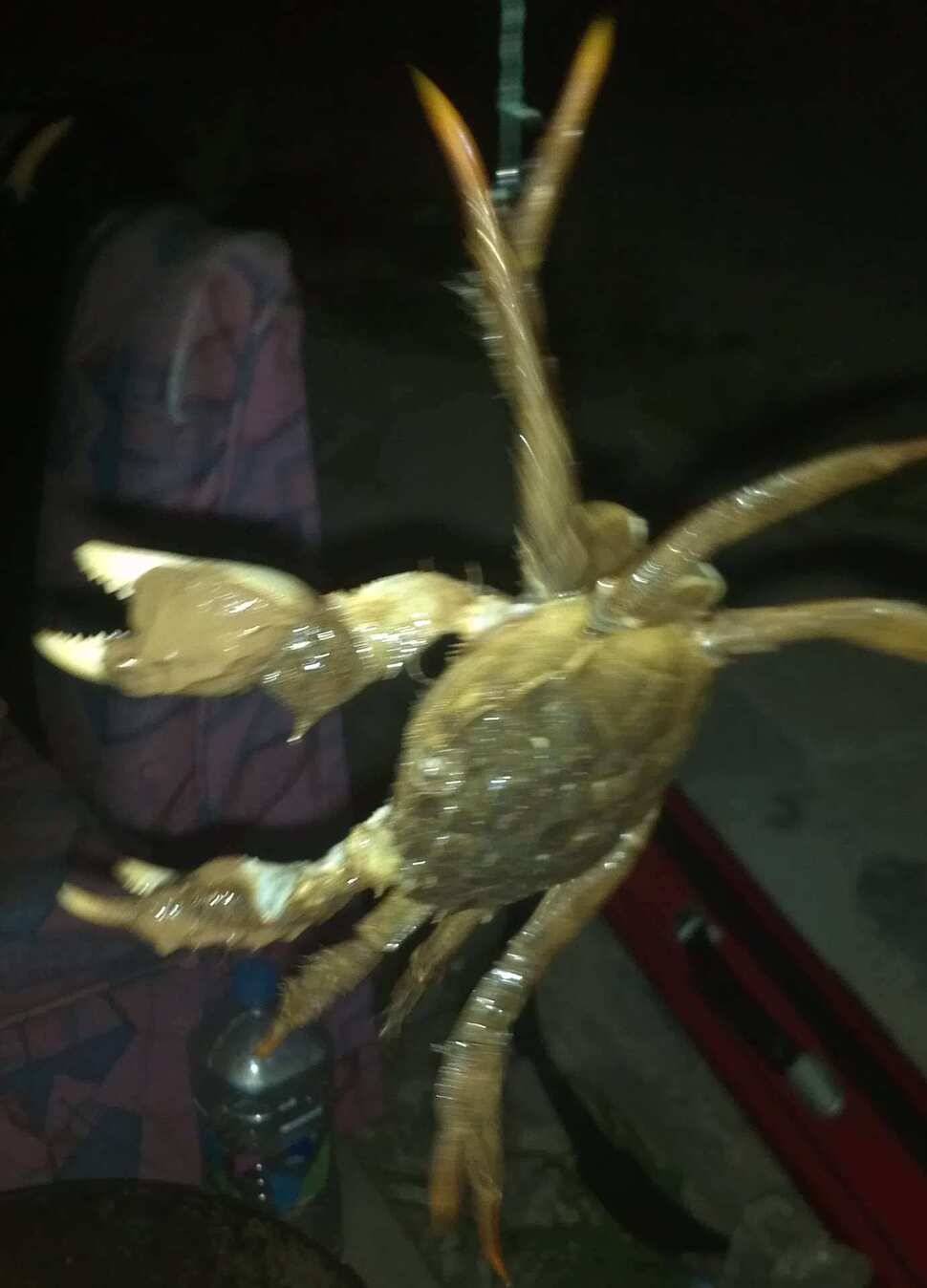 대부도 북동낚시터 갔다왔습니다사진은 폰가 자리는 지도로 표시했습니다 (유료터정보 - 유료터조행기)