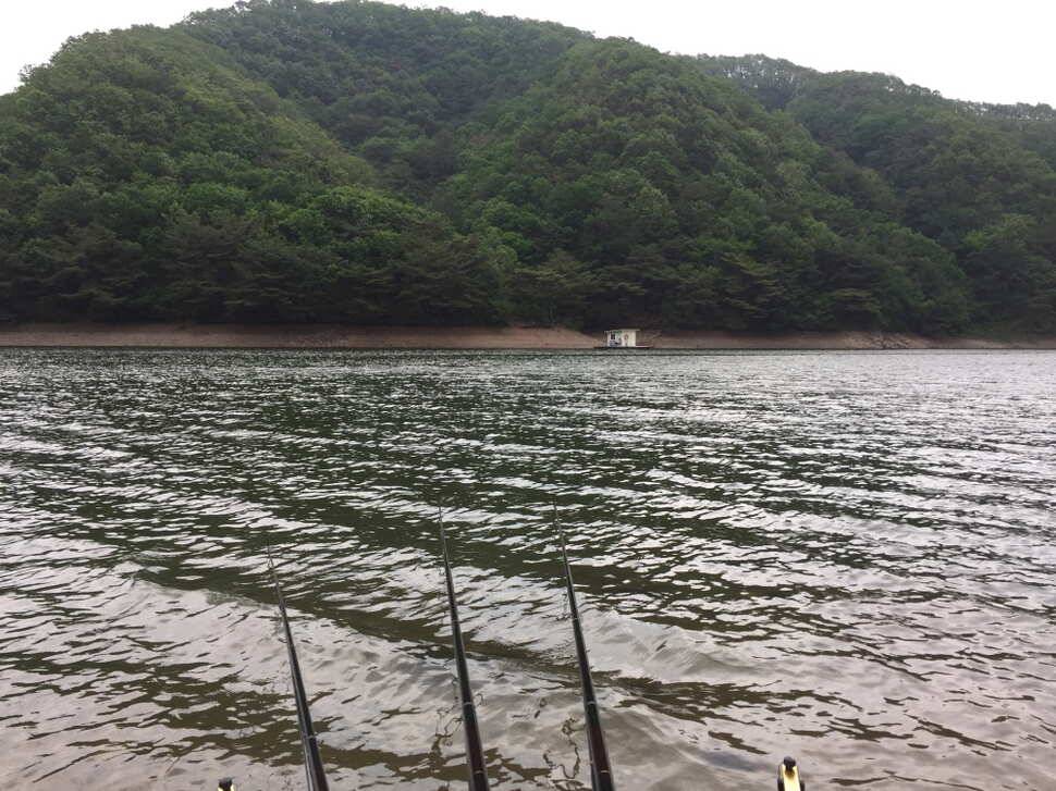 오산나그네의 고산낚시터조행기 (유료터정보 - 유료터조행기)