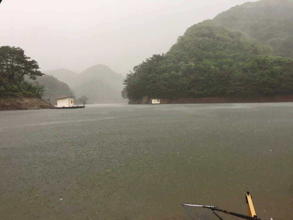 오산나그네의 고산낚시터조행기 (유료터정보 - 유료터조행기)