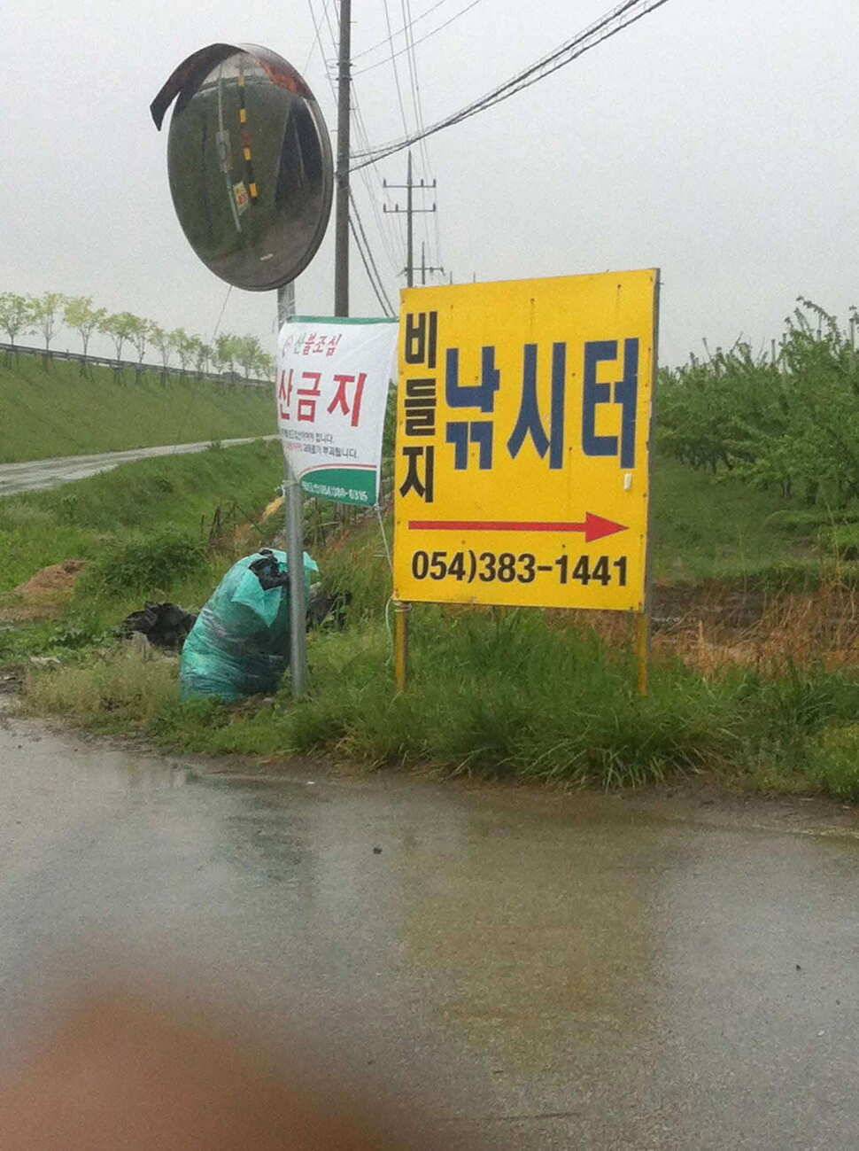 비들지 군위 (유료터정보 - 유료터조행기)