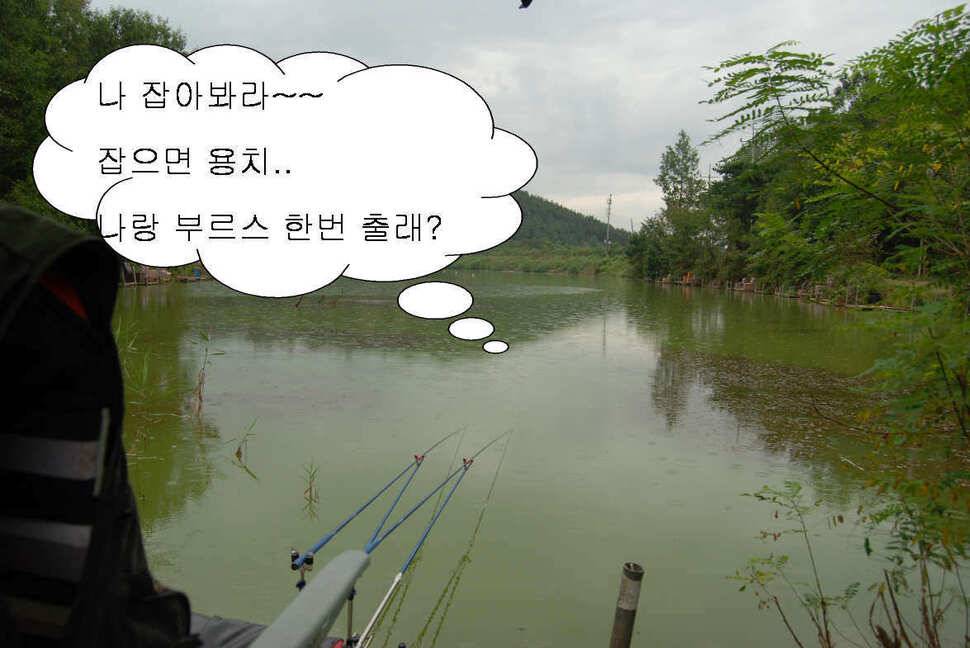 북동낚시터에서 밤낚시 (유료터정보 - 유료터조행기)