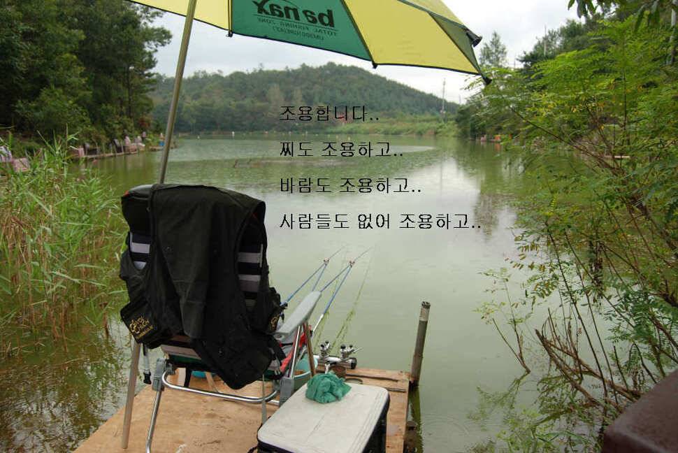 북동낚시터에서 밤낚시 (유료터정보 - 유료터조행기)