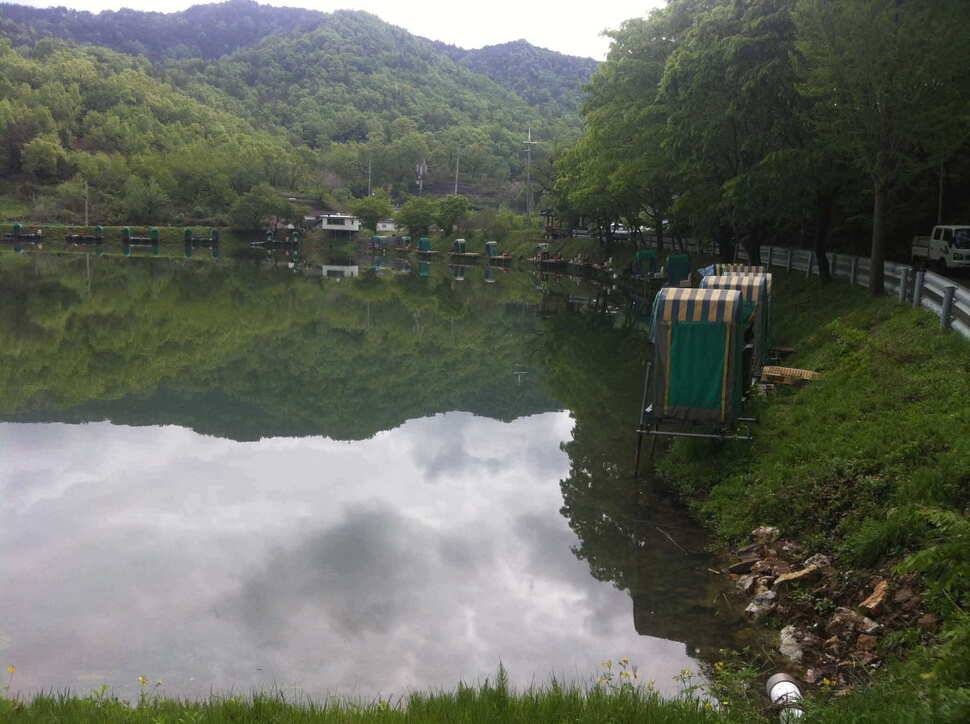 비들지 군위 (유료터정보 - 유료터조행기)