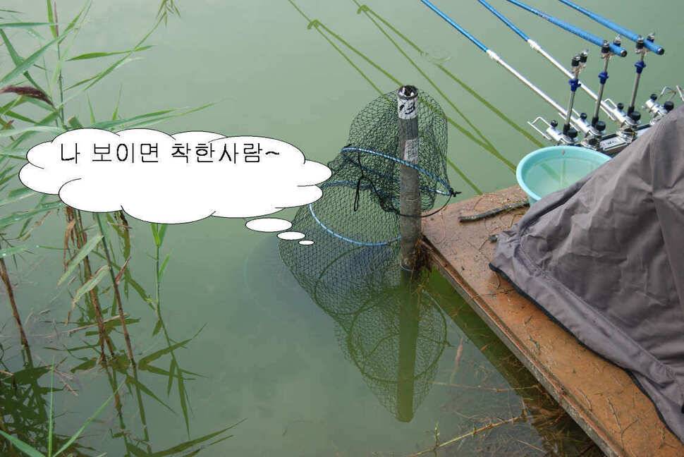 북동낚시터에서 밤낚시 (유료터정보 - 유료터조행기)