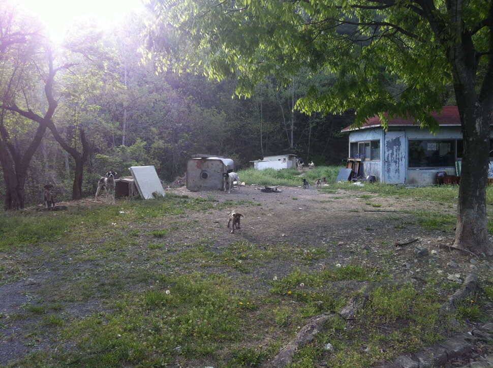무릉도원 청도 (유료터정보 - 유료터조행기)
