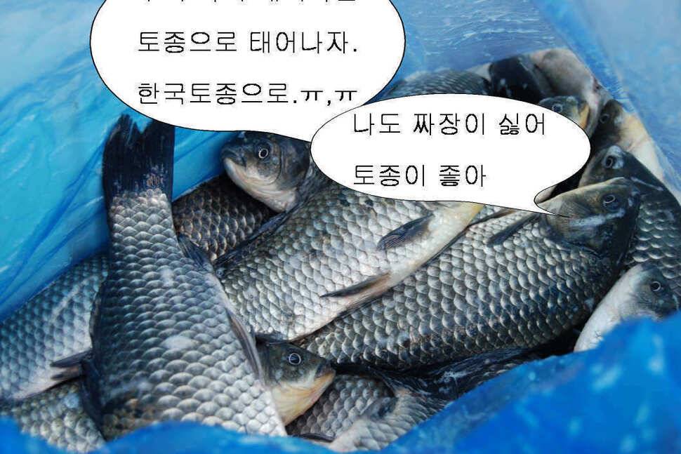북동낚시터에서 밤낚시 (유료터정보 - 유료터조행기)