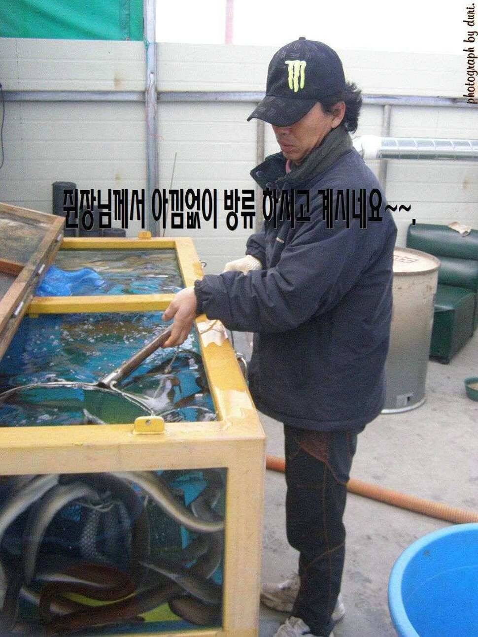 경기이천 호법낚시터 탐방기 (유료터정보 - 유료터조행기)