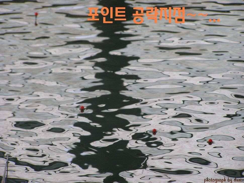경기이천 호법낚시터 탐방기 (유료터정보 - 유료터조행기)