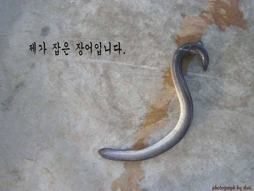 경기이천 호법낚시터 탐방기 (유료터정보 - 유료터조행기)