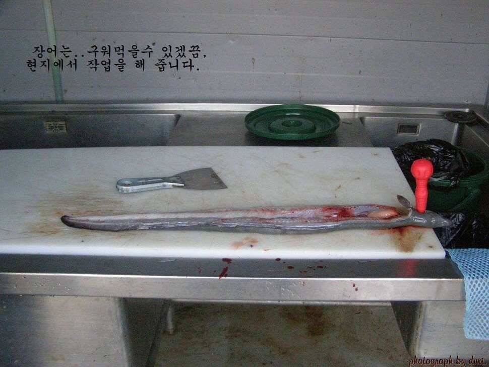 경기이천 호법낚시터 탐방기 (유료터정보 - 유료터조행기)