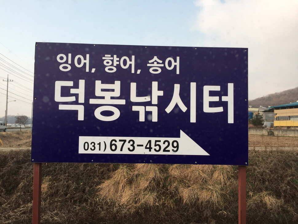 오산나그네의 덕봉지 조행기 (유료터정보 - 유료터조행기)