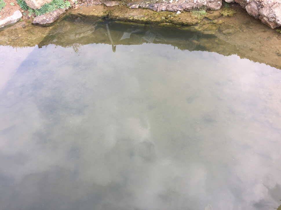 오산나그네의 덕봉지 조행기 (유료터정보 - 유료터조행기)