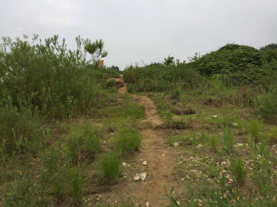오산나그네의 두메낚시터 조행기 (유료터정보 - 유료터조행기)