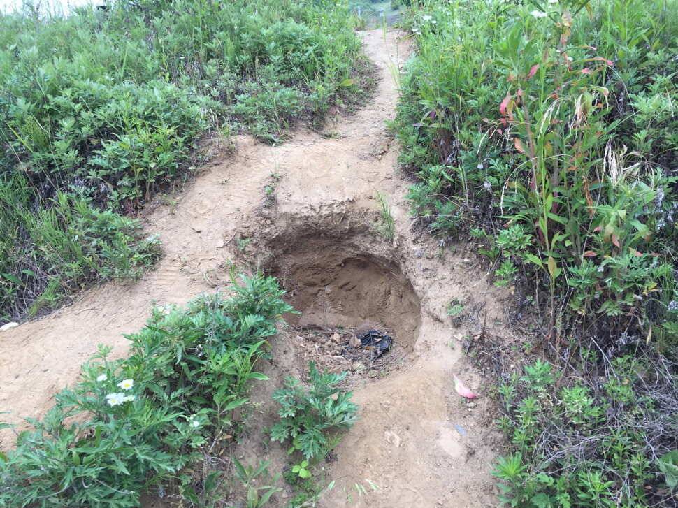 오산나그네의 두메낚시터 조행기 (유료터정보 - 유료터조행기)
