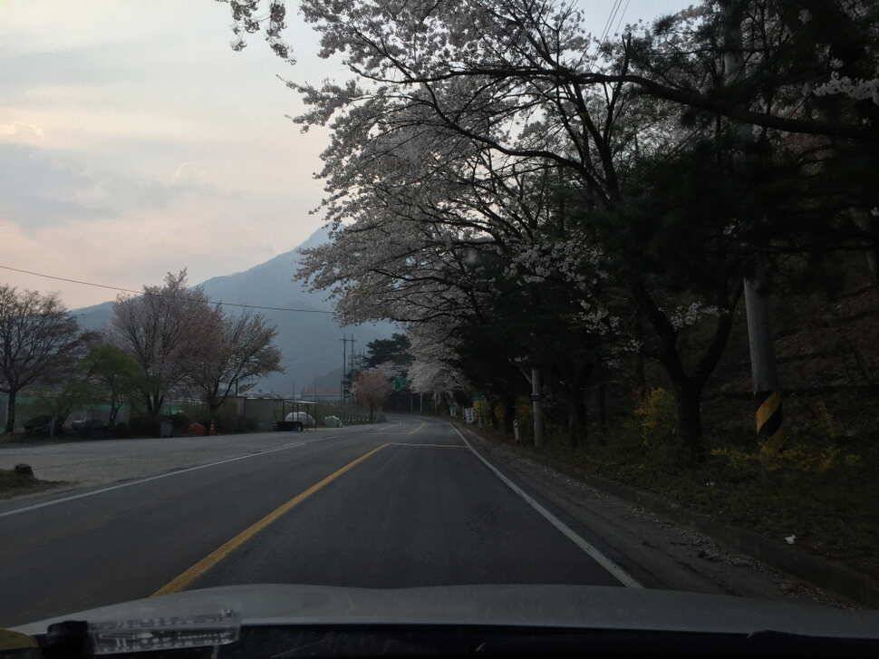 오산나그네의 선고지 조행기 (유료터정보 - 유료터조행기)