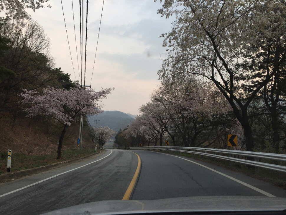 오산나그네의 선고지 조행기 (유료터정보 - 유료터조행기)
