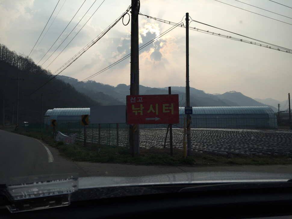 오산나그네의 선고지 조행기 (유료터정보 - 유료터조행기)