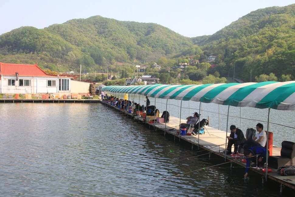 손눈입맛이 너무좋은 진우낚시터로 출발 (유료터정보 - 유료터조행기)