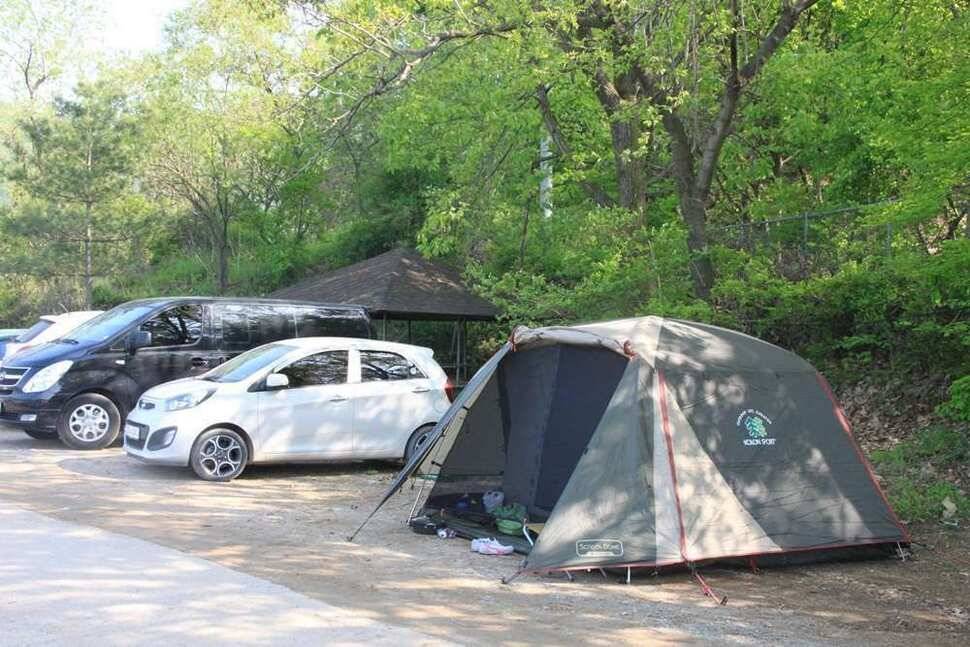손눈입맛이 너무좋은 진우낚시터로 출발 (유료터정보 - 유료터조행기)